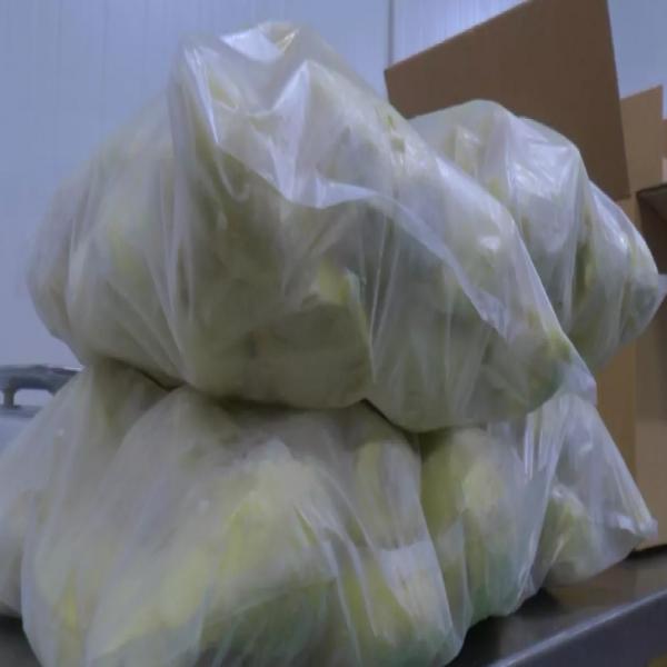 Frozen Durian