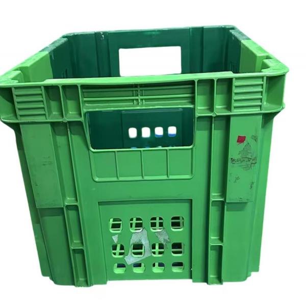 เห็ดออรินจิ 130 กรัม (สีเขียว)