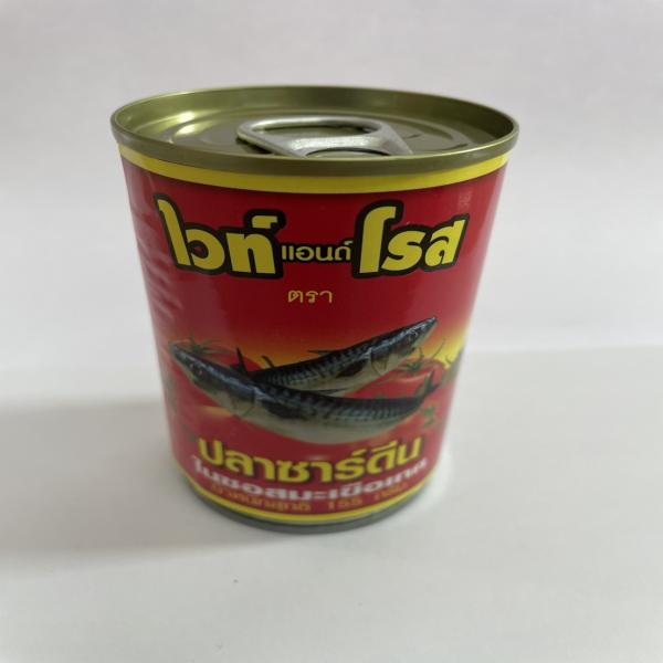 ปลาซาร์ดีนในซอสมะเขือเทศ