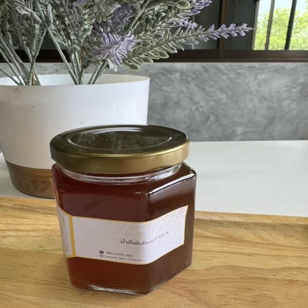lamoon bee stingless bee pure 100%