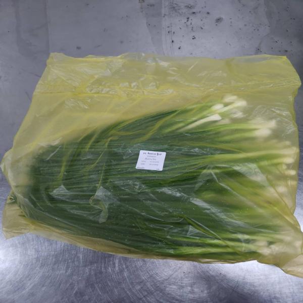 Spring Onion  (Green Onion)