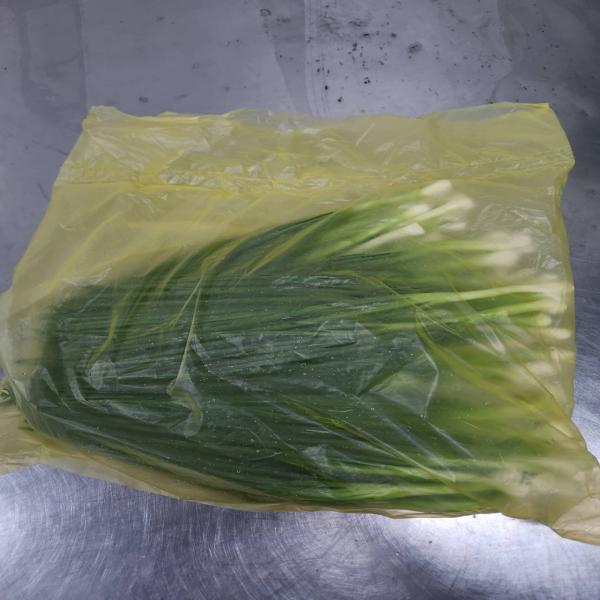 Spring Onion  (Green Onion)