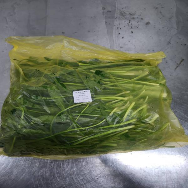 Sawtooth Coriander (Culantro)