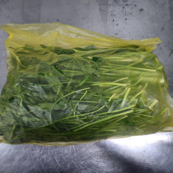 Sawtooth Coriander (Culantro)