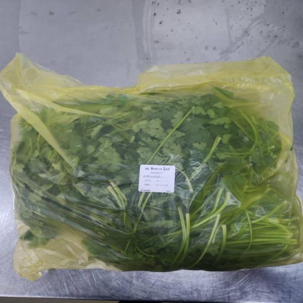 Coriander