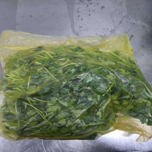 Coriander