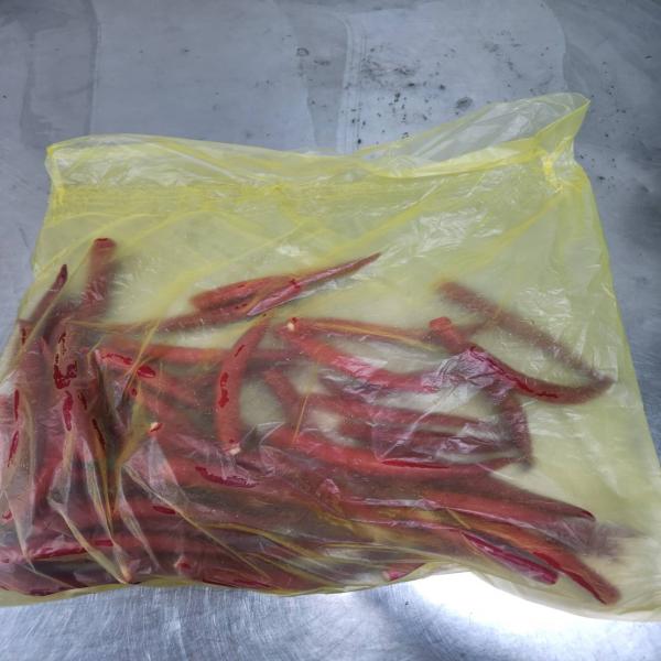 Red Chili Pepper