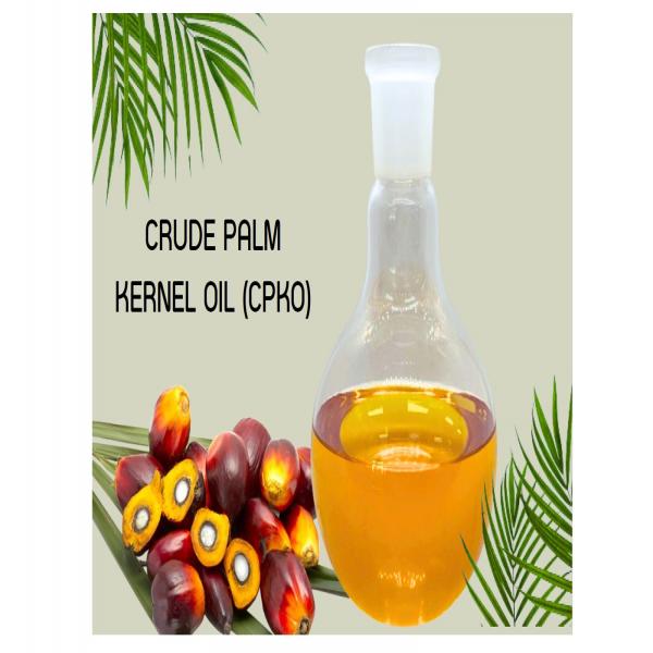 คลังเก็บน้ำมันเมล็ดในปาล์มดิบ