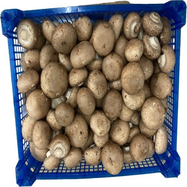 Portobello mushrooms