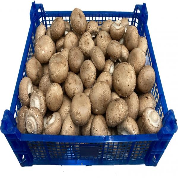 Portobello mushrooms
