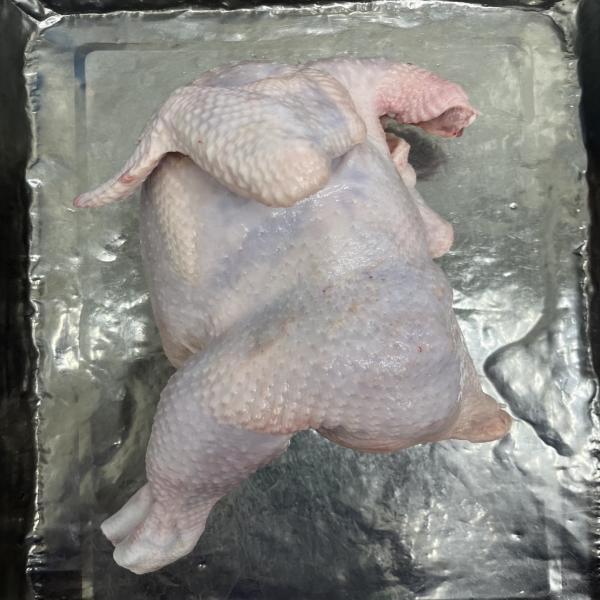 ไก่ NY