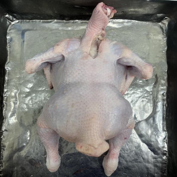 ไก่ NY