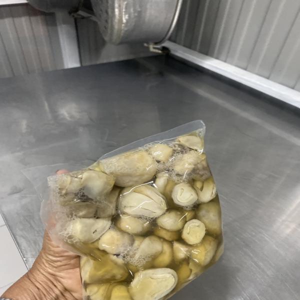 PUDANG Mushrooms