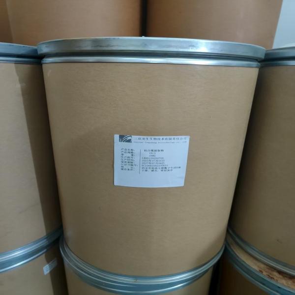 White chrysanthemum extract