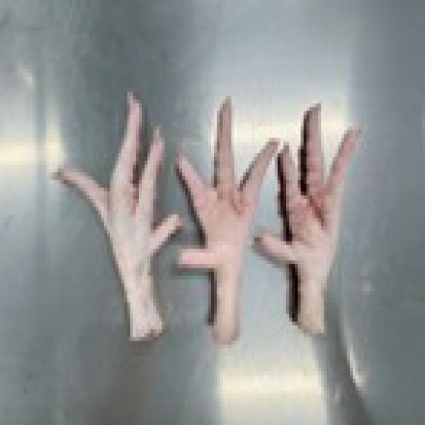 Chicken Leg and parts