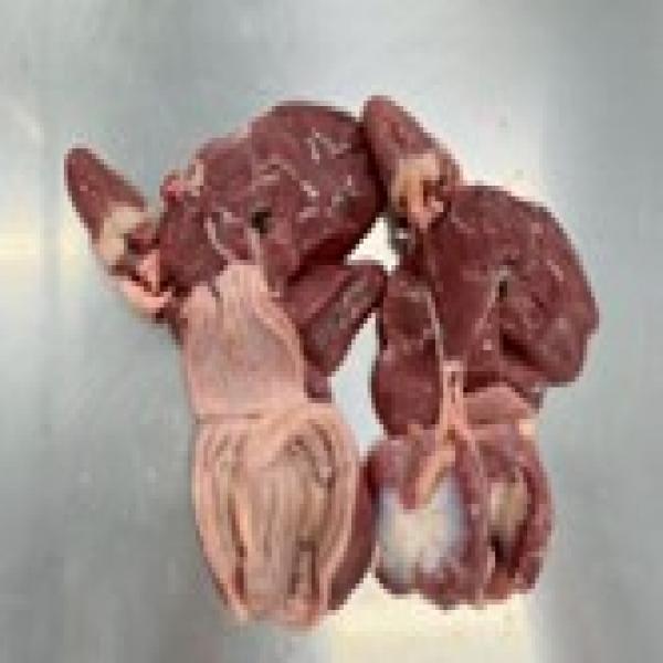 เครื่องในและชิ้นส่วนเครื่องในไก่