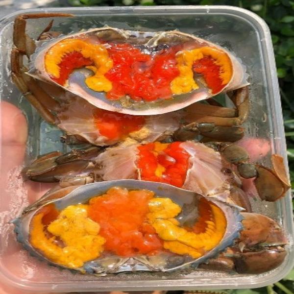Korean Soy Sauce Pickled Roe Crab