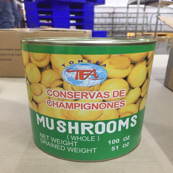 CANNED CHAMPIGNON MASHROOMS WHOLE IN BRINE
