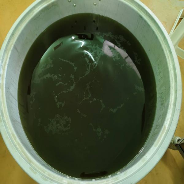 Rice Bran Extract