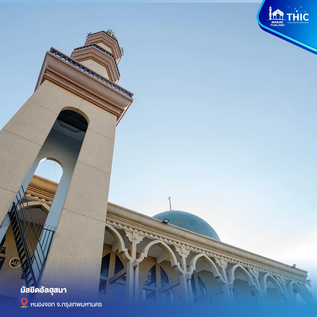 gallery_files_05.webp
