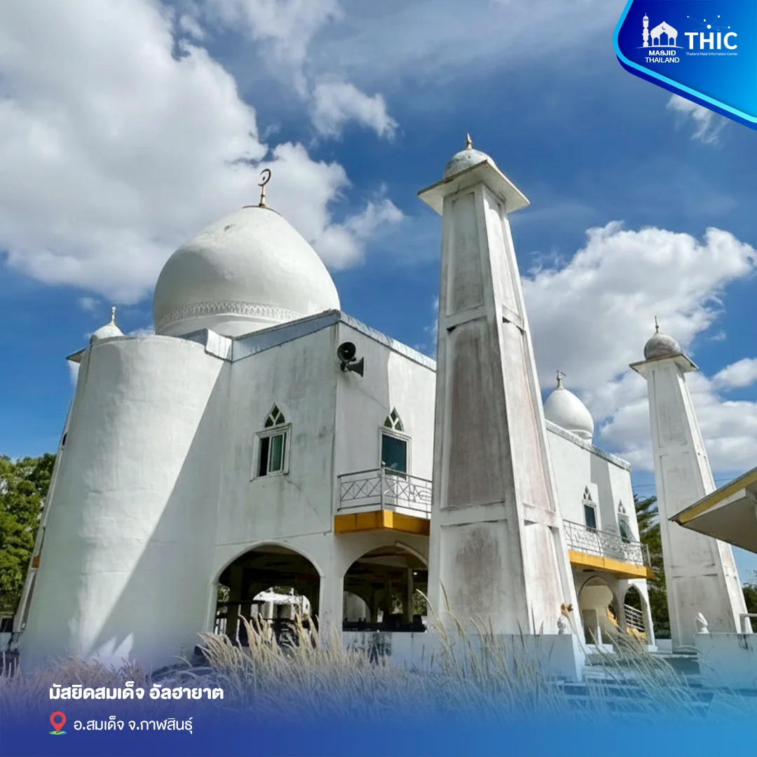 gallery_files_7.webp