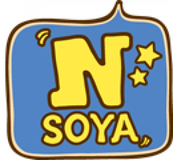 N SOYA CO., LTD.