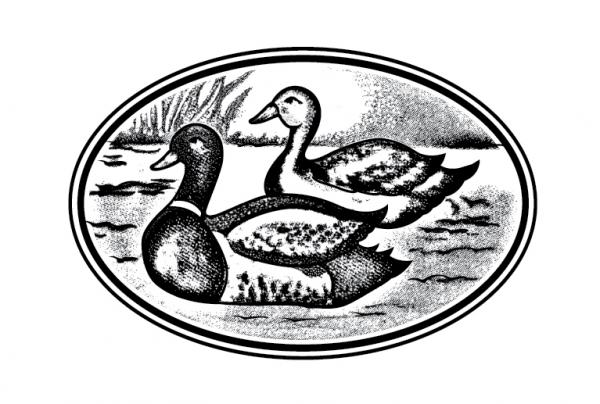 DOUBLE DUCKS (2002) CO., LTD.