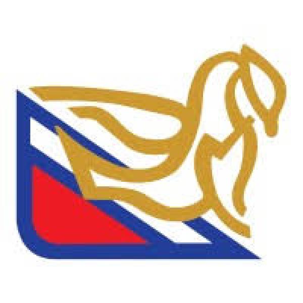 MOLINA & SONS (PHILS.) INC.