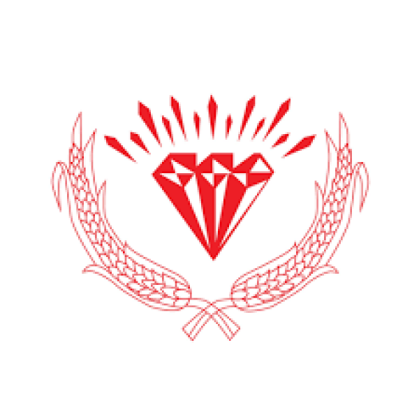 JEW NOODLES (TAI-SOONG 1958) CO., LTD.