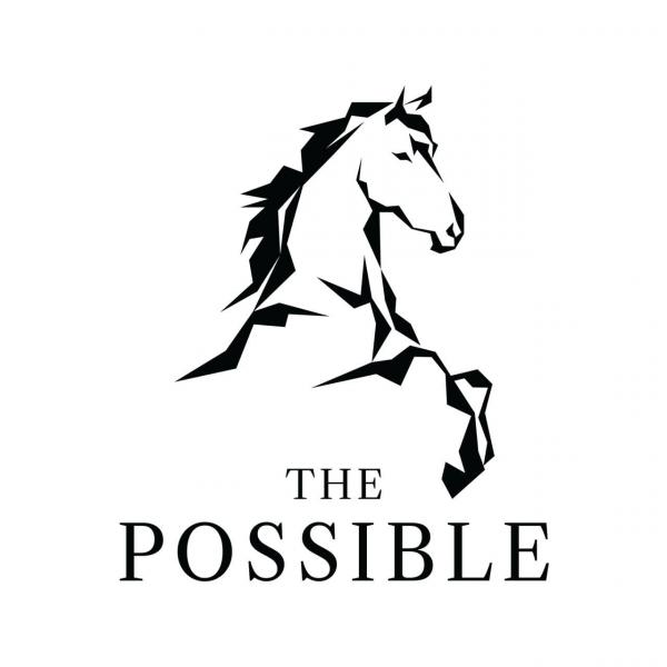 THE POSSIBLE CO., LTD.