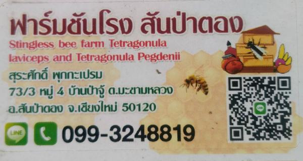 ผึ้งชันโรงสันป่าตองและสวนเกษตรผสมผสาน