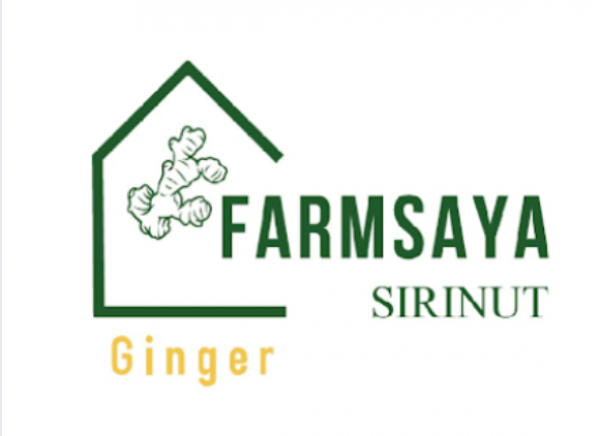 Instant Ginger Drink Less Sugar Farmsaya Sirinut Brand