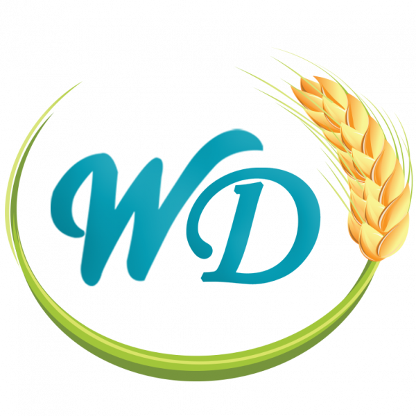 WP HEALTHY WONDER CO., LTD.