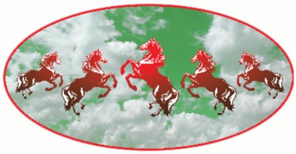 HAMAR PHARMACY CO., LTD