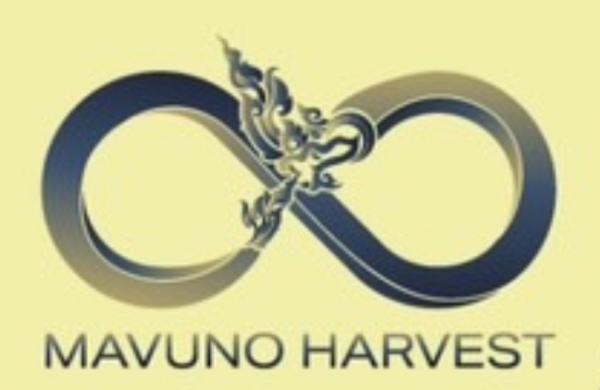 KALAYA 198 Co.,Ltd (Head Office)