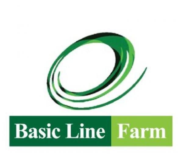 Basic Line Farm Company Limited
