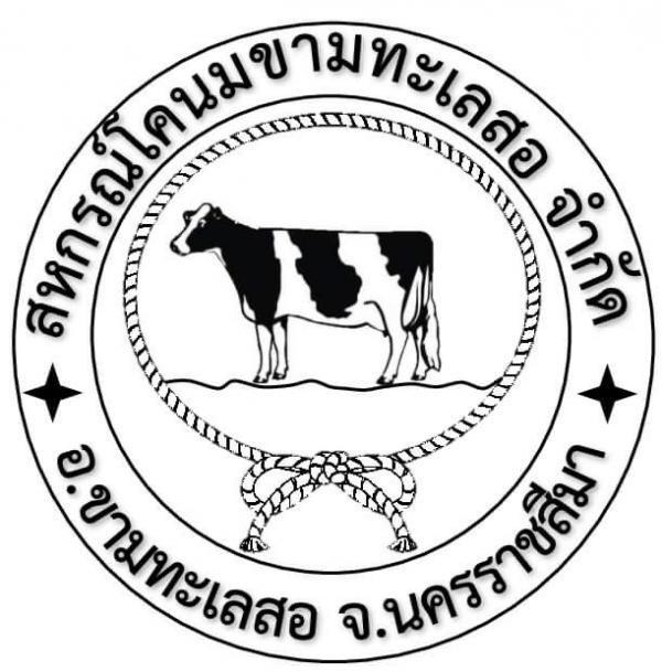 KHAMTHALESOR DAIRY