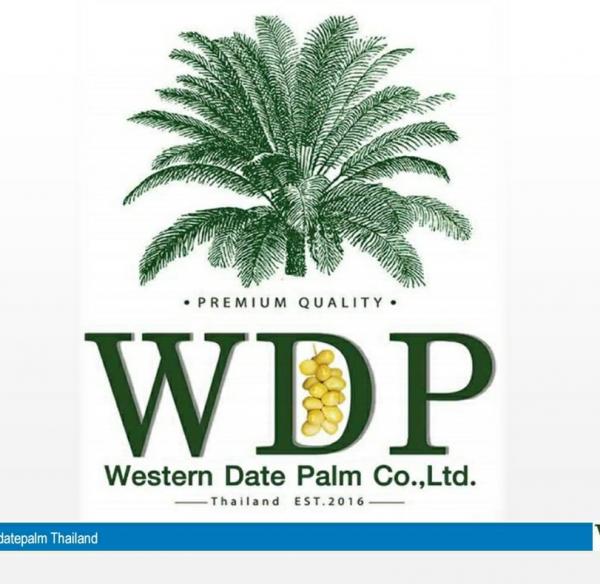  WESTERN DATE PALM CO., LTD. 