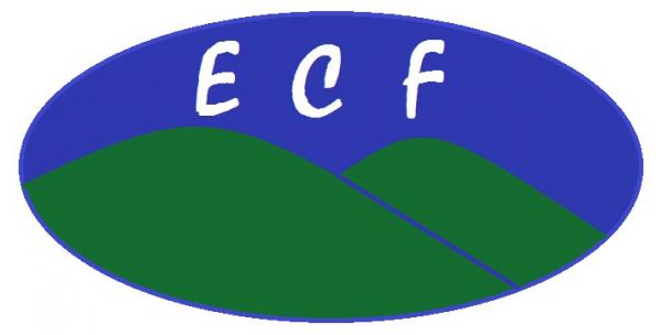 E CHAN FOODS CO.,LTD.