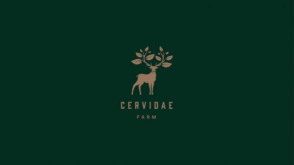 Cervidae Co,.Ltd.