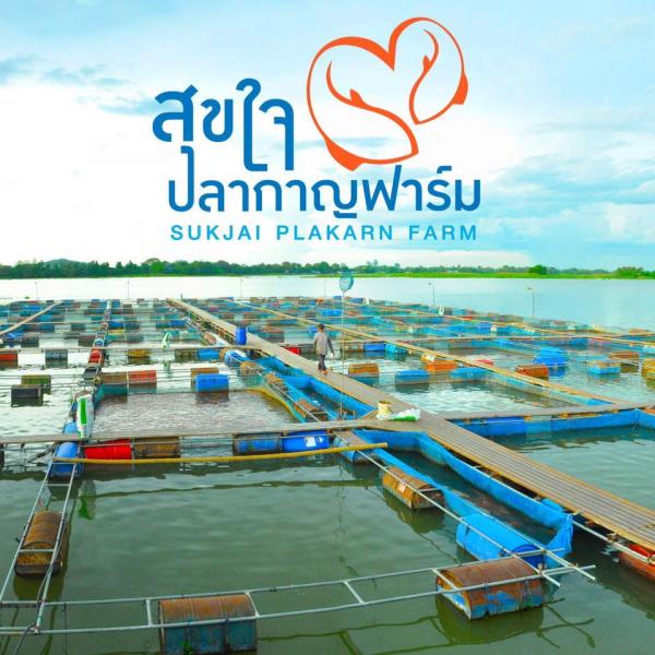 สุขใจปลากาญฟาร์ม