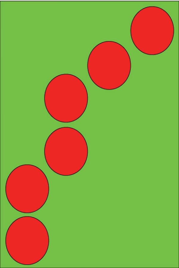 TRIPLE NINE SOLUTION CO.,LTD.