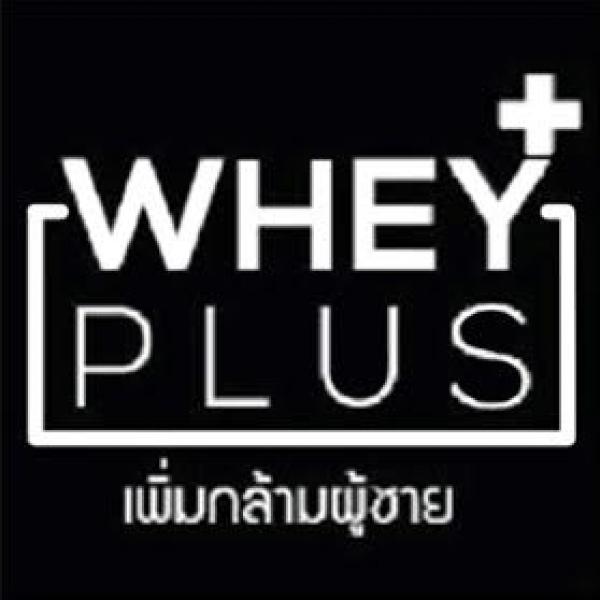 บริษัท เวย์พลัส เน็กซ์ เอเซีย จำกัด