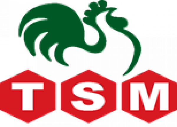 THAI SUMMIT MARKETING CO., LTD