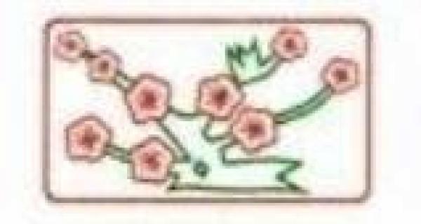 Sookanan Product Ltd., Part