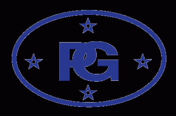 P G PLASTIC (2001) COMPANY LIMITED